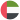 UAE flag